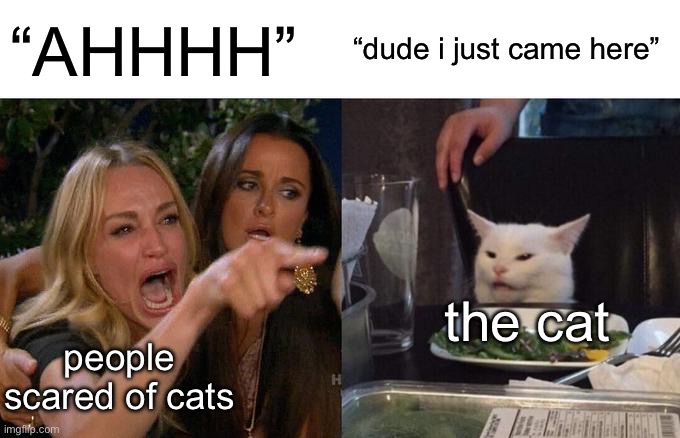 Woman Yelling At Cat Meme | “AHHHH”; “dude i just came here”; the cat; people scared of cats | image tagged in memes,woman yelling at cat | made w/ Imgflip meme maker