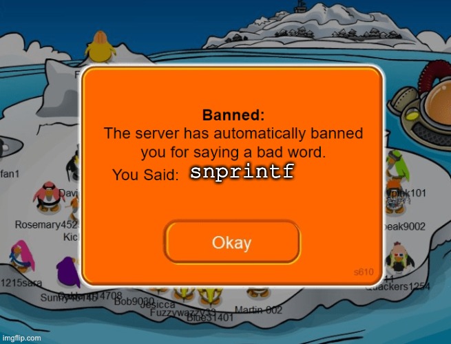 Banned C function | snprintf | image tagged in club penguin ban | made w/ Imgflip meme maker