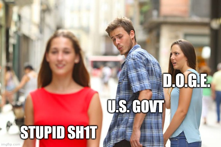 D.O.G.E. vs Govt | D.O.G.E. U.S. GOVT; STUPID SH1T | image tagged in memes,distracted boyfriend | made w/ Imgflip meme maker