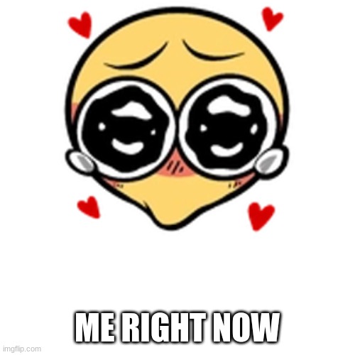 So cute | ME RIGHT NOW | image tagged in so cute | made w/ Imgflip meme maker