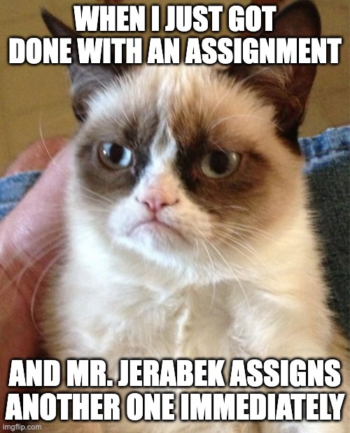 Grumpy Cat | WHEN I JUST GOT DONE WITH AN ASSIGNMENT; AND MR. JERABEK ASSIGNS ANOTHER ONE IMMEDIATELY | image tagged in memes,grumpy cat | made w/ Imgflip meme maker