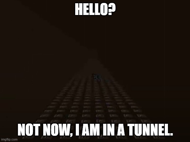 hello? | HELLO? NOT NOW, I AM IN A TUNNEL. | image tagged in tree,tunnel | made w/ Imgflip meme maker