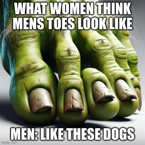 ugly shrek toes | WHAT WOMEN THINK MENS TOES LOOK LIKE; MEN: LIKE THESE DOGS | image tagged in ugly shrek toes | made w/ Imgflip meme maker