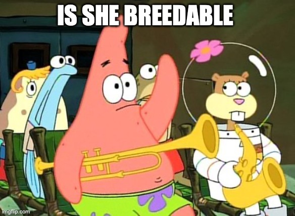 Patrick Raises Hand | IS SHE BREEDABLE | image tagged in patrick raises hand | made w/ Imgflip meme maker