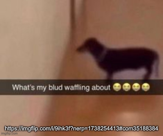What's my blud waffling about | https://imgflip.com/i/9ihk3f?nerp=1738254413#com35188384 | image tagged in what's my blud waffling about | made w/ Imgflip meme maker