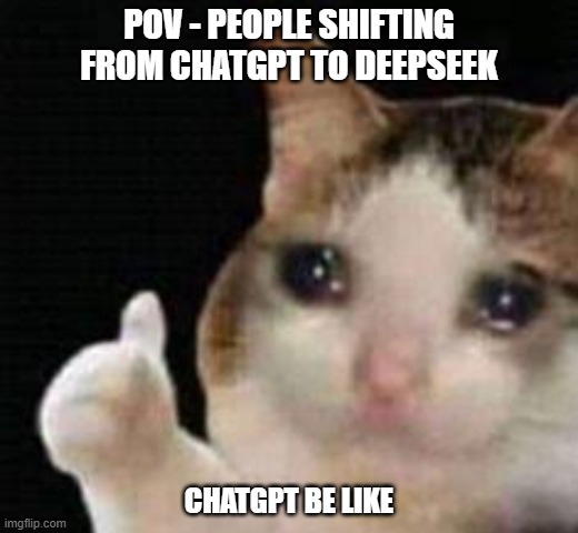 Approved crying cat | POV - PEOPLE SHIFTING FROM CHATGPT TO DEEPSEEK; CHATGPT BE LIKE | image tagged in approved crying cat | made w/ Imgflip meme maker