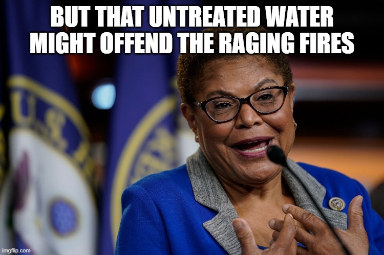 Karen Bass | BUT THAT UNTREATED WATER MIGHT OFFEND THE RAGING FIRES | image tagged in karen bass | made w/ Imgflip meme maker