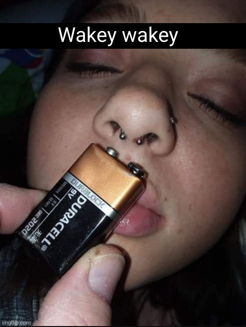 wakey wakey | Wakey wakey | image tagged in electricity,funny,battery,wakey wakey,shock,sleeping | made w/ Imgflip meme maker