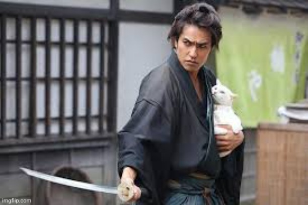Man with Sword and Cat | image tagged in man with sword and cat | made w/ Imgflip meme maker