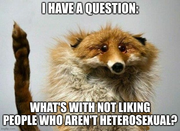 Coming here to ask a question. | I HAVE A QUESTION:; WHAT'S WITH NOT LIKING PEOPLE WHO AREN'T HETEROSEXUAL? | image tagged in i have a question fox | made w/ Imgflip meme maker