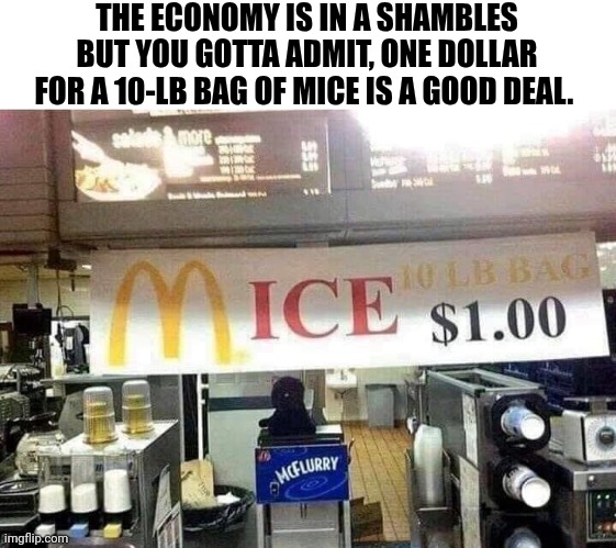 The Economy Is In A Shambles But You Gotta Admit One Dollar For 10-LB Bag Of Mice Is A Good Deal. | THE ECONOMY IS IN A SHAMBLES BUT YOU GOTTA ADMIT, ONE DOLLAR FOR A 10-LB BAG OF MICE IS A GOOD DEAL. | image tagged in chris joines | made w/ Imgflip meme maker