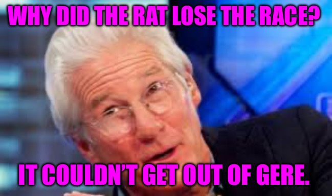 Gere | WHY DID THE RAT LOSE THE RACE? IT COULDN’T GET OUT OF GERE. | image tagged in gere,rats,freaks,scumbag hollywood,political memes,bad memes | made w/ Imgflip meme maker