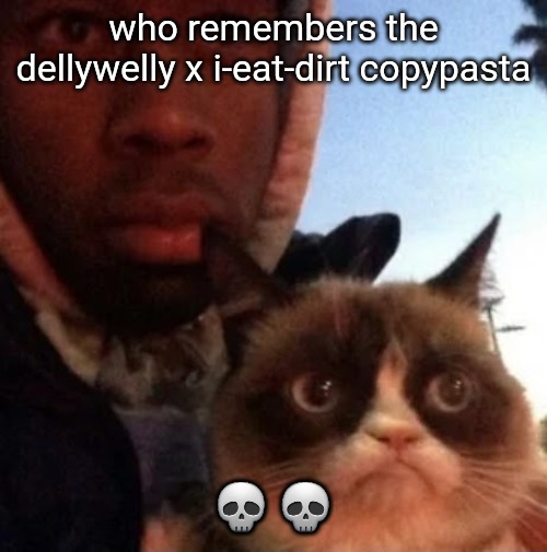 tyler the creator and grumpy cat | who remembers the dellywelly x i-eat-dirt copypasta; 💀💀 | image tagged in tyler the creator and grumpy cat | made w/ Imgflip meme maker