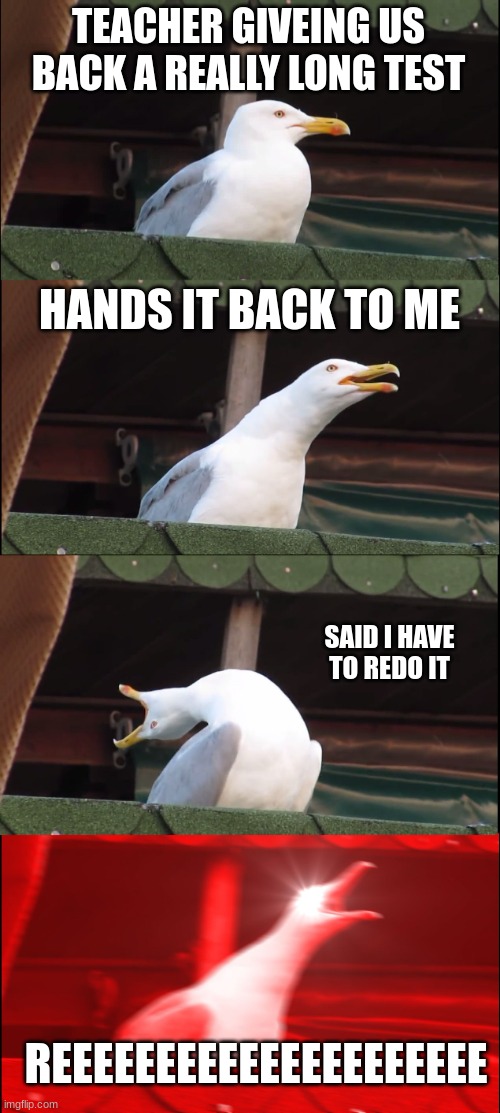 Inhaling Seagull | TEACHER GIVEING US BACK A REALLY LONG TEST; HANDS IT BACK TO ME; SAID I HAVE TO REDO IT; REEEEEEEEEEEEEEEEEEEEE | image tagged in memes,inhaling seagull | made w/ Imgflip meme maker