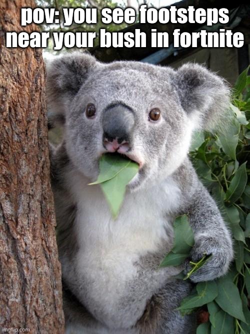 Surprised Koala | pov: you see footsteps near your bush in fortnite | image tagged in memes,surprised koala | made w/ Imgflip meme maker