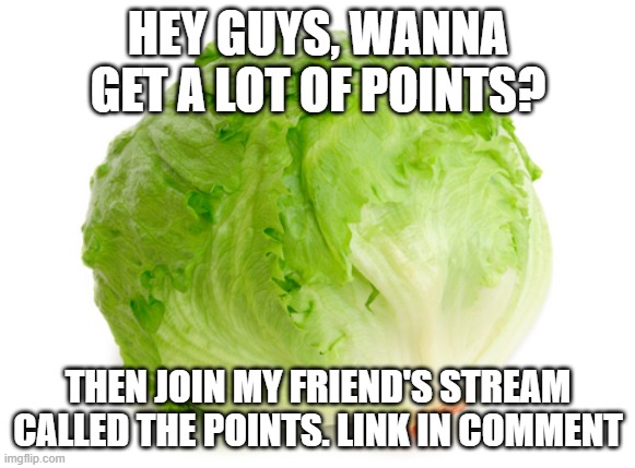 pls | HEY GUYS, WANNA GET A LOT OF POINTS? THEN JOIN MY FRIEND'S STREAM CALLED THE POINTS. LINK IN COMMENT | image tagged in lettuce | made w/ Imgflip meme maker