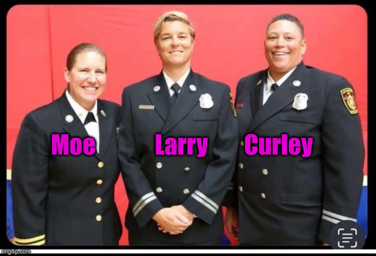 LA Fire Department DEI team | Moe             Larry        Curley | image tagged in la fire department dei team | made w/ Imgflip meme maker