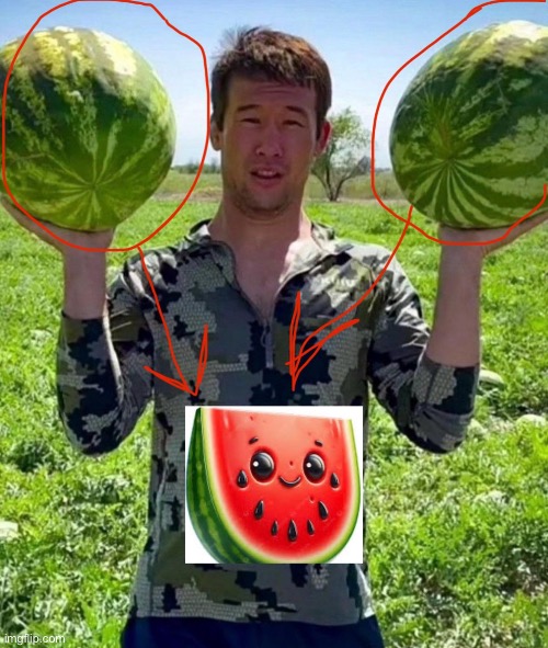 Watermelon | image tagged in gifs,memes,funny,shitpost,watermelon | made w/ Imgflip meme maker