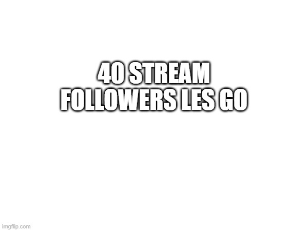 e | 40 STREAM FOLLOWERS LES GO | image tagged in memes | made w/ Imgflip meme maker