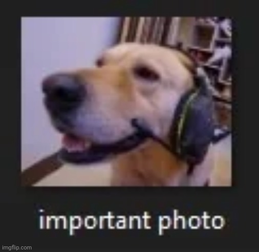 Very important | made w/ Imgflip meme maker