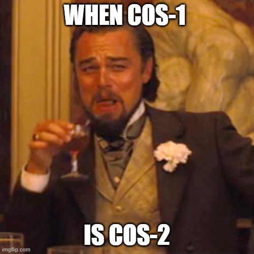 pls help | WHEN COS-1; IS COS-2 | image tagged in memes,laughing leo | made w/ Imgflip meme maker