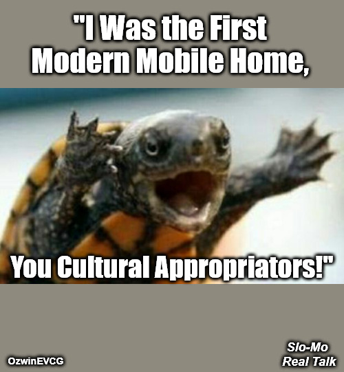 Slo-Mo Real Talk | "I Was the First 

Modern Mobile Home, You Cultural Appropriators!"; Slo-Mo 

Real Talk; OzwinEVCG | image tagged in turtle say what,yelling,cultural appropriation,the complete history of housing,awkward,silly | made w/ Imgflip meme maker