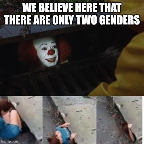 pennywise in sewer | WE BELIEVE HERE THAT THERE ARE ONLY TWO GENDERS | image tagged in pennywise in sewer | made w/ Imgflip meme maker