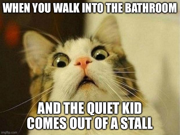 Scared Cat Meme | WHEN YOU WALK INTO THE BATHROOM; AND THE QUIET KID COMES OUT OF A STALL | image tagged in memes,scared cat | made w/ Imgflip meme maker