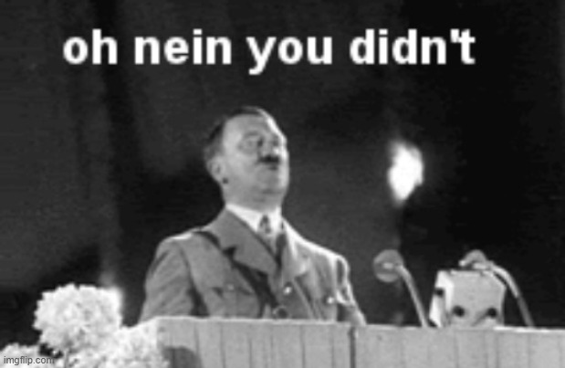 Oh Nein | image tagged in oh nein | made w/ Imgflip meme maker