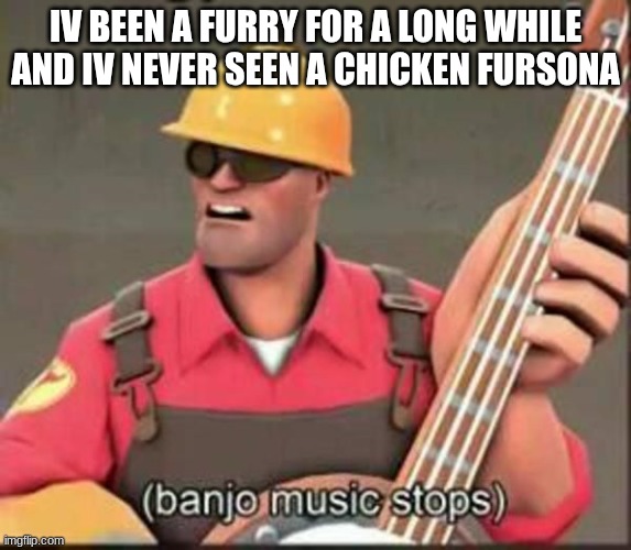 banjo music stops | IV BEEN A FURRY FOR A LONG WHILE AND IV NEVER SEEN A CHICKEN FURSONA | image tagged in banjo music stops | made w/ Imgflip meme maker