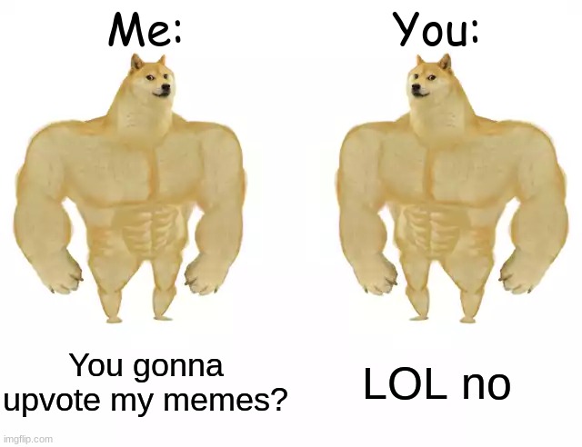 Buff Doge vs Buff Doge | Me:; You:; You gonna upvote my memes? LOL no | image tagged in buff doge vs buff doge | made w/ Imgflip meme maker