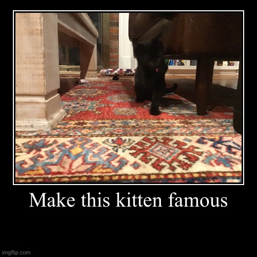 Make this kitten famous | | image tagged in funny,demotivationals | made w/ Imgflip demotivational maker