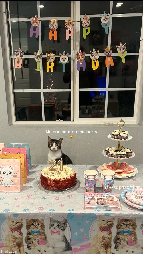 :(( wish him a happy birthday | made w/ Imgflip meme maker