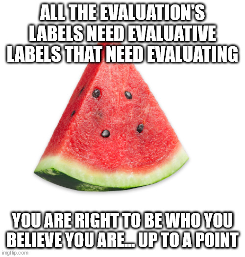 watermellon | ALL THE EVALUATION'S LABELS NEED EVALUATIVE LABELS THAT NEED EVALUATING YOU ARE RIGHT TO BE WHO YOU BELIEVE YOU ARE... UP TO A POINT | image tagged in watermellon | made w/ Imgflip meme maker