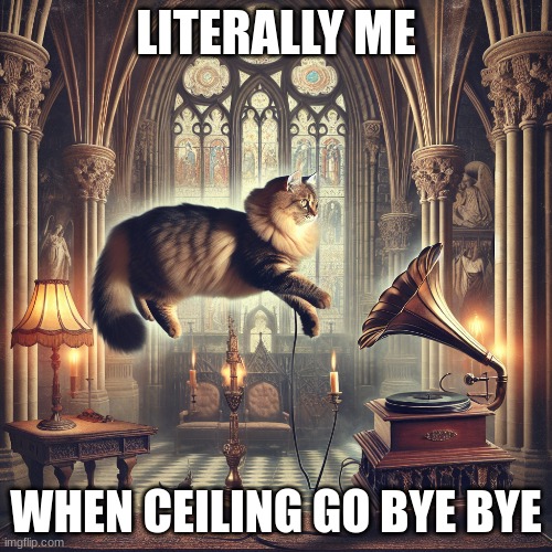 FUNNi thINg #ReLAtAbLE | LITERALLY ME; WHEN CEILING GO BYE BYE | image tagged in cat | made w/ Imgflip meme maker