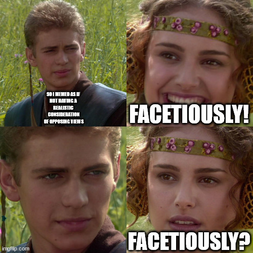 Anakin Padme 4 Panel | SO I MEMED AS IF 
NOT HAVING A 
REALISTIC 
CONSIDERATION
OF OPPOSING VIEWS FACETIOUSLY! FACETIOUSLY? | image tagged in anakin padme 4 panel | made w/ Imgflip meme maker