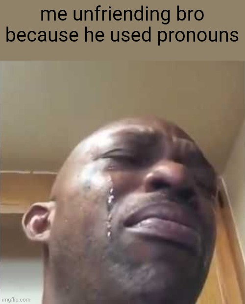 I'm sorry bro. | me unfriending bro because he used pronouns | image tagged in crying guy meme,funny,memes,pronouns | made w/ Imgflip meme maker