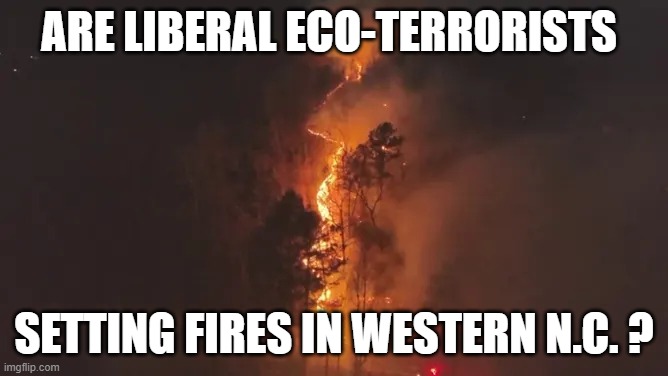 Libtard Arsonists in NC | ARE LIBERAL ECO-TERRORISTS; SETTING FIRES IN WESTERN N.C. ? | image tagged in libtard arsonists in nc | made w/ Imgflip meme maker