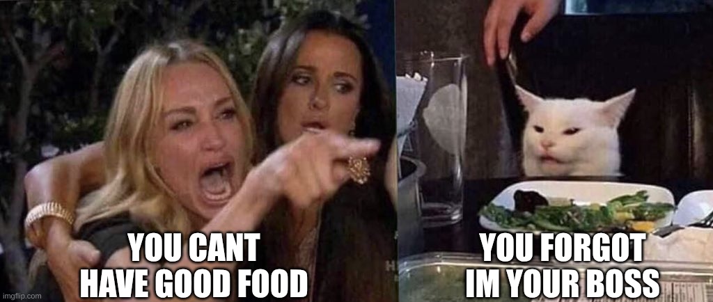 woman yelling at cat | YOU CANT HAVE GOOD FOOD YOU FORGOT IM YOUR BOSS | image tagged in woman yelling at cat | made w/ Imgflip meme maker