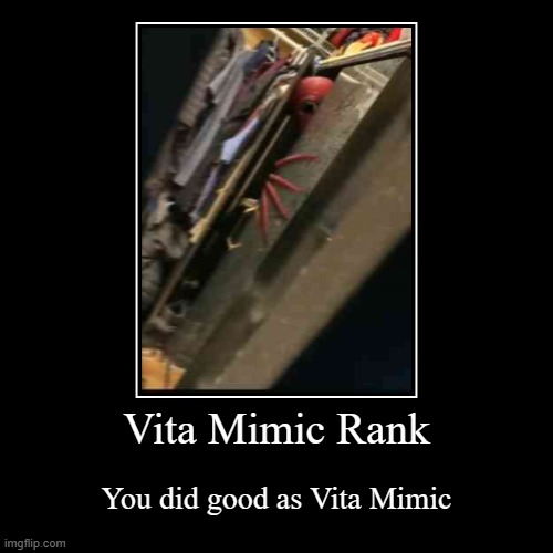 when you win as Vita Mimic | Vita Mimic Rank | You did good as Vita Mimic | image tagged in funny,demotivationals | made w/ Imgflip demotivational maker