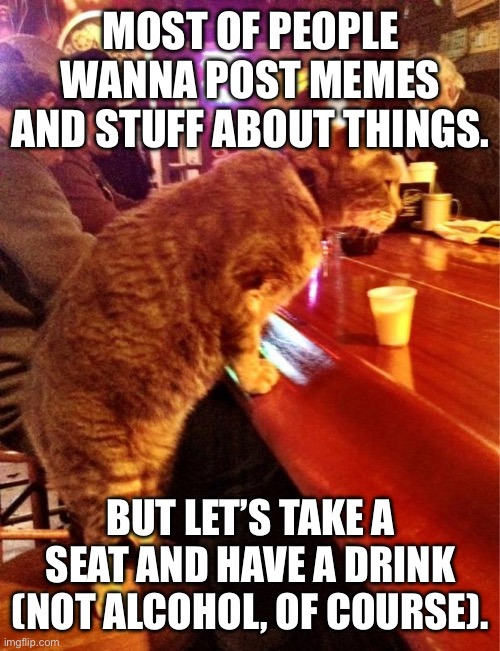 Let’s take a break. | MOST OF PEOPLE WANNA POST MEMES AND STUFF ABOUT THINGS. BUT LET’S TAKE A SEAT AND HAVE A DRINK (NOT ALCOHOL, OF COURSE). | image tagged in cat bar drinking | made w/ Imgflip meme maker