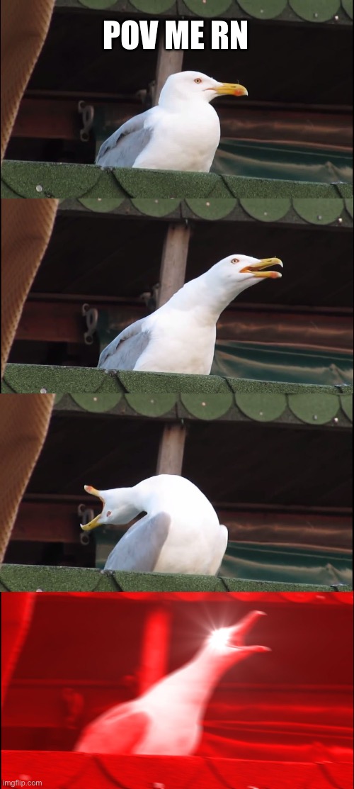 Inhaling Seagull | POV ME EN | image tagged in memes,inhaling seagull | made w/ Imgflip meme maker