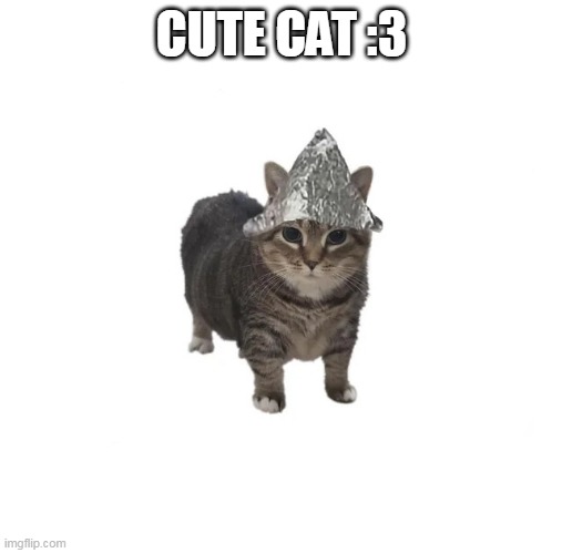 cute | CUTE CAT :3 | image tagged in i wake up there is another psyop | made w/ Imgflip meme maker