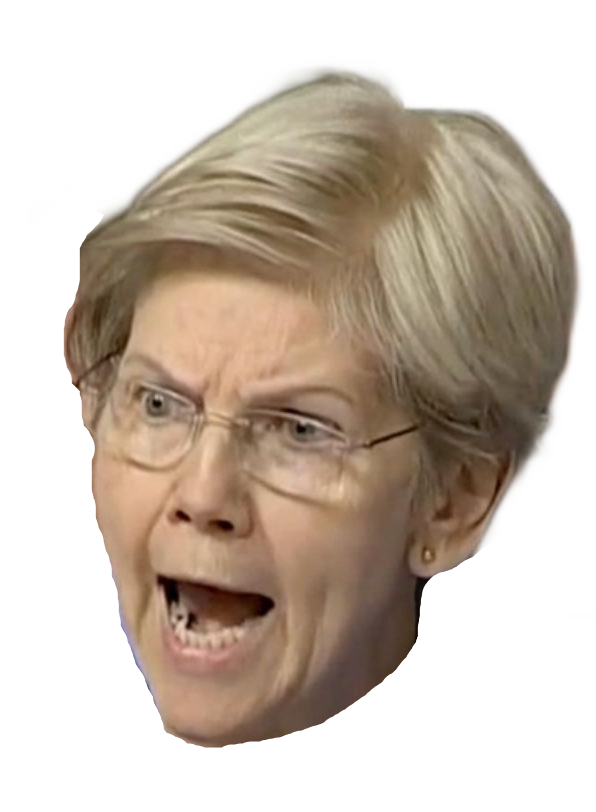 Elizabeth Warren Blank Meme Template