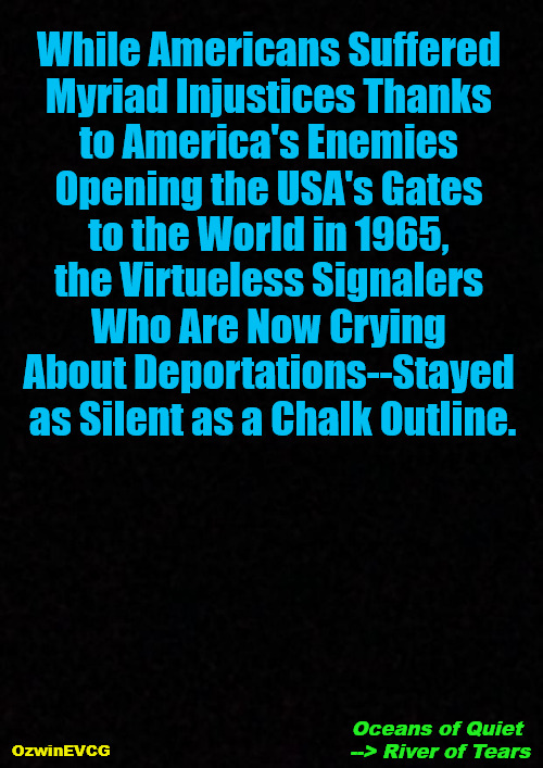 Oceans of Quiet --> River of Tears | While Americans Suffered 

Myriad Injustices Thanks 

to America's Enemies 

Opening the USA's Gates 

to the World in 1965, 

the Virtueless Signalers 

Who Are Now Crying 

About Deportations--Stayed 

as Silent as a Chalk Outline. OzwinEVCG; Oceans of Quiet 

--> River of Tears | image tagged in immigration,liberal logic,deportation,liberal hypocrisy,invasion usa,double standards | made w/ Imgflip meme maker