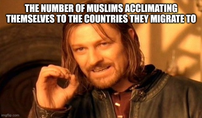 One Does Not Simply | THE NUMBER OF MUSLIMS ACCLIMATING THEMSELVES TO THE COUNTRIES THEY MIGRATE TO | image tagged in memes,one does not simply,funny memes | made w/ Imgflip meme maker