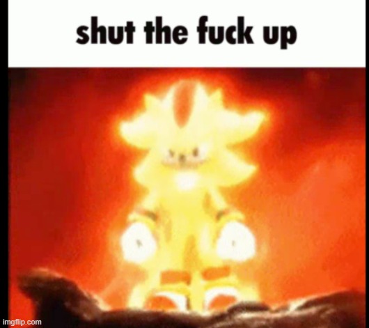 super shadow stfu | image tagged in super shadow stfu | made w/ Imgflip meme maker