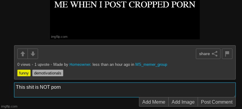 made w/ Imgflip meme maker