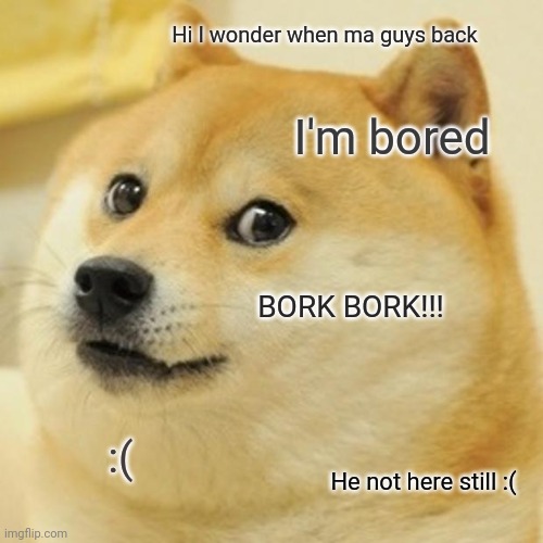 Doge | Hi I wonder when ma guys back; I'm bored; BORK BORK!!! :(; He not here still :( | image tagged in memes,doge | made w/ Imgflip meme maker