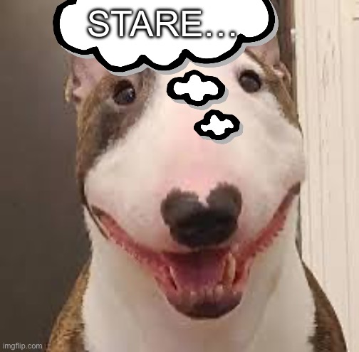 Goofy shyt | STARE… | image tagged in idk | made w/ Imgflip meme maker